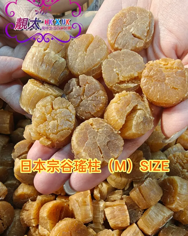 日本宗谷貝(M)