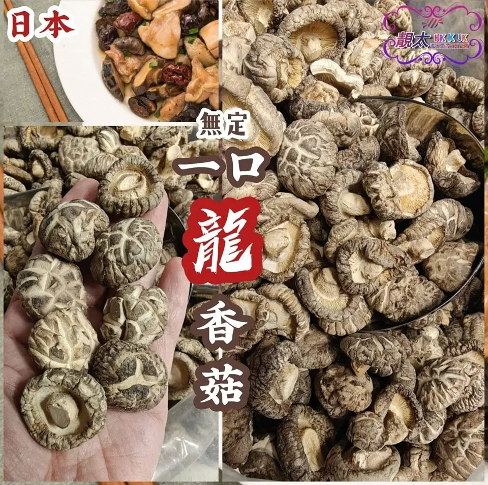 日本一口無掟龍香冬菇