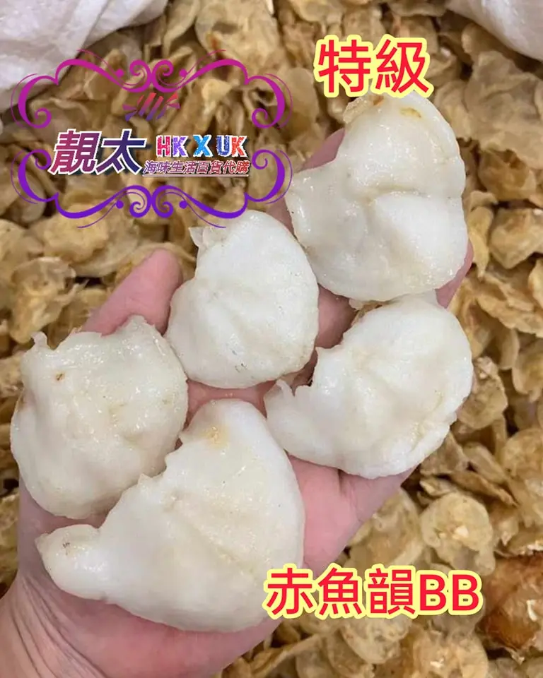 特級赤魚韻BB