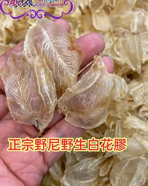 正宗印尼野生白花膠