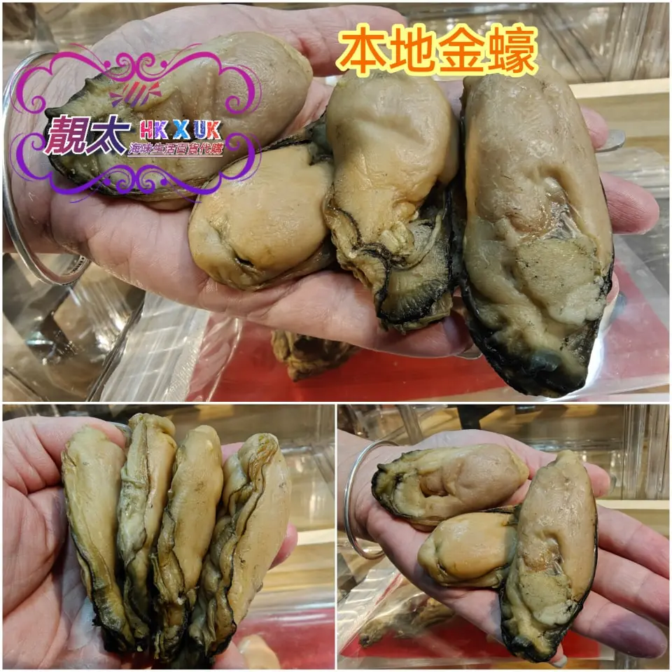 本地肥美金蠔