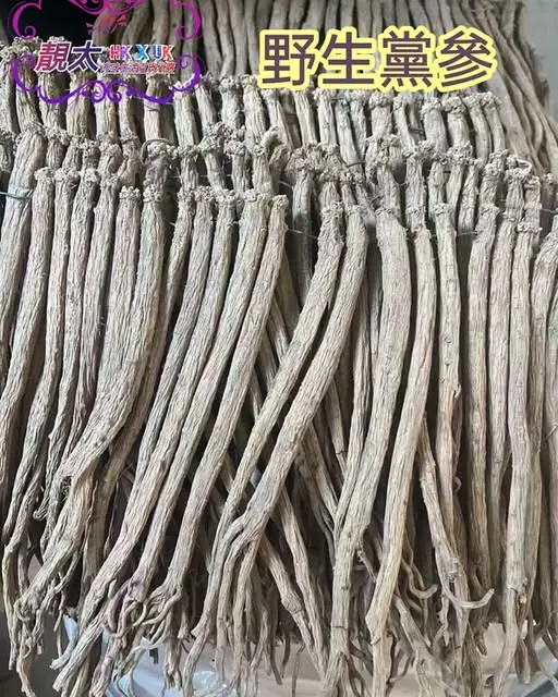 野生黨參