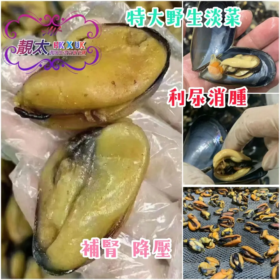 特大野生淡菜