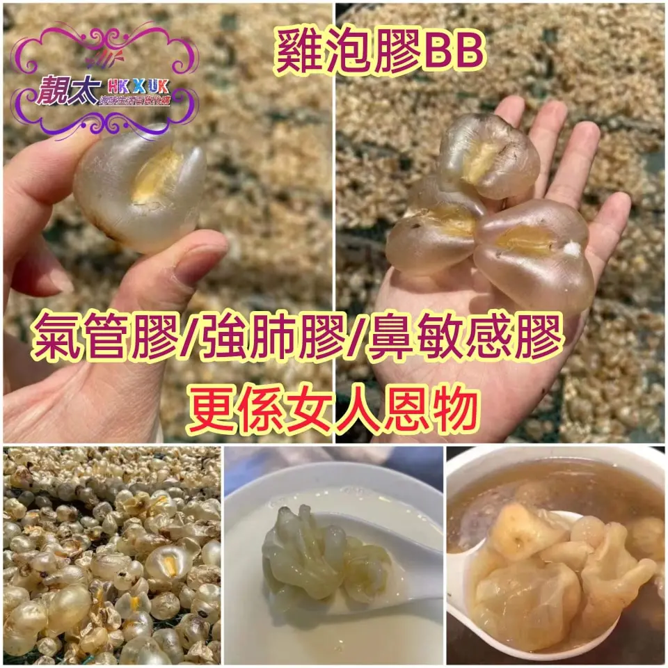 雞泡膠