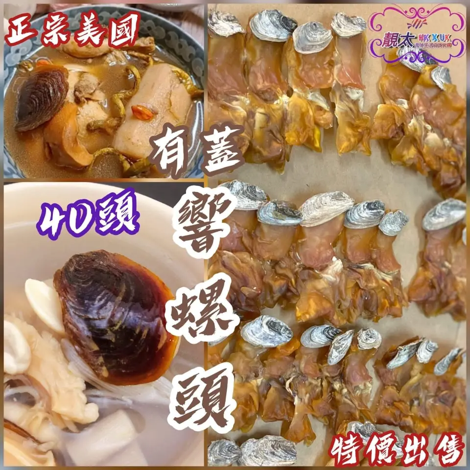 美國響螺頭