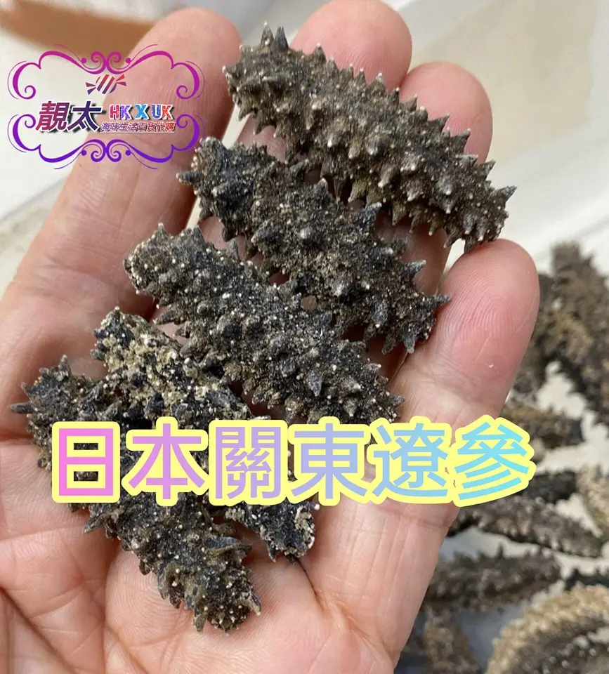 關東六排刺針遼參