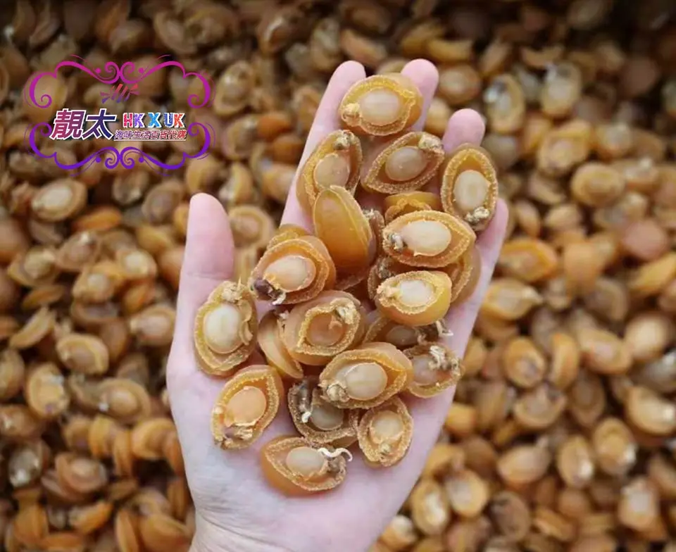 清貨鮑魚