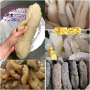 澳洲光禿