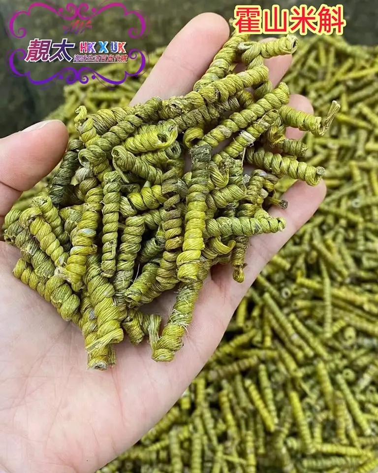 霍山米斛