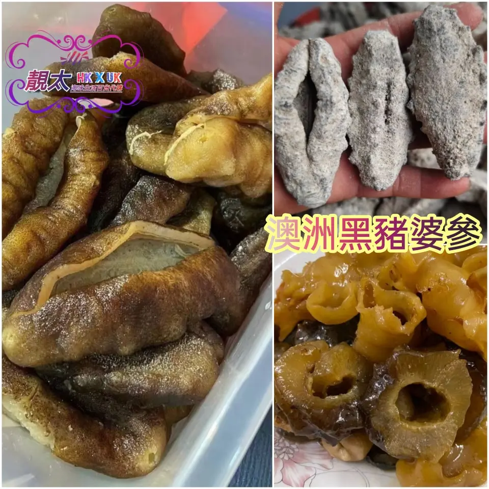 澳洲黑豬婆參