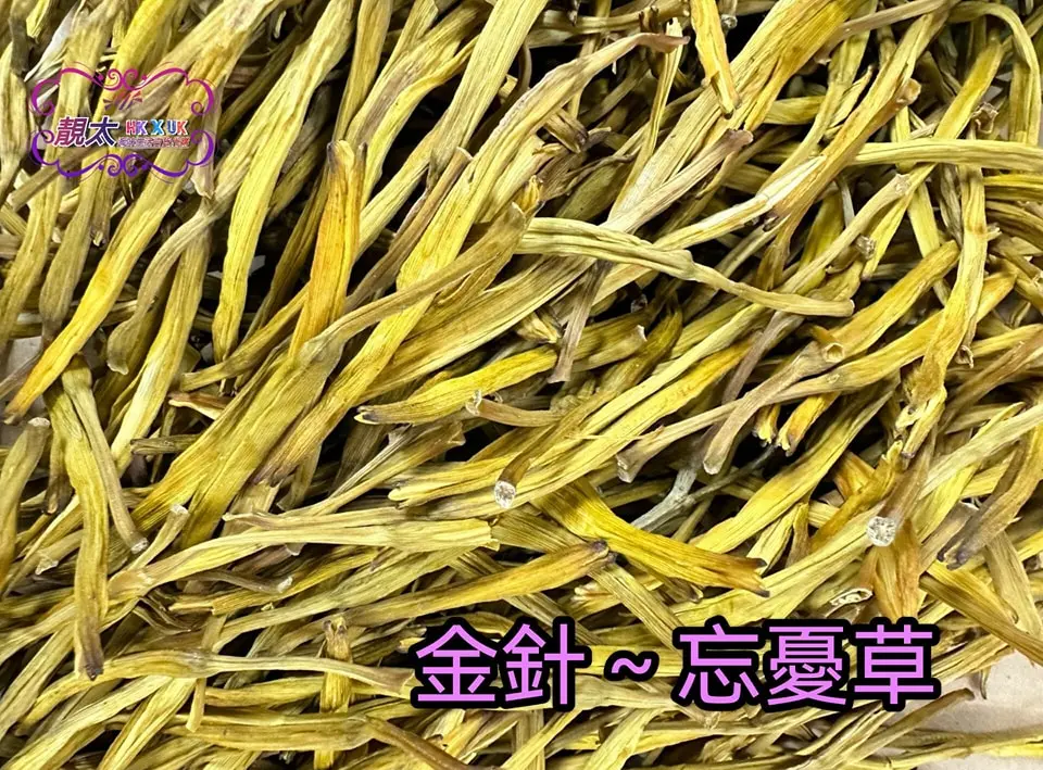 金針花(忘憂草)