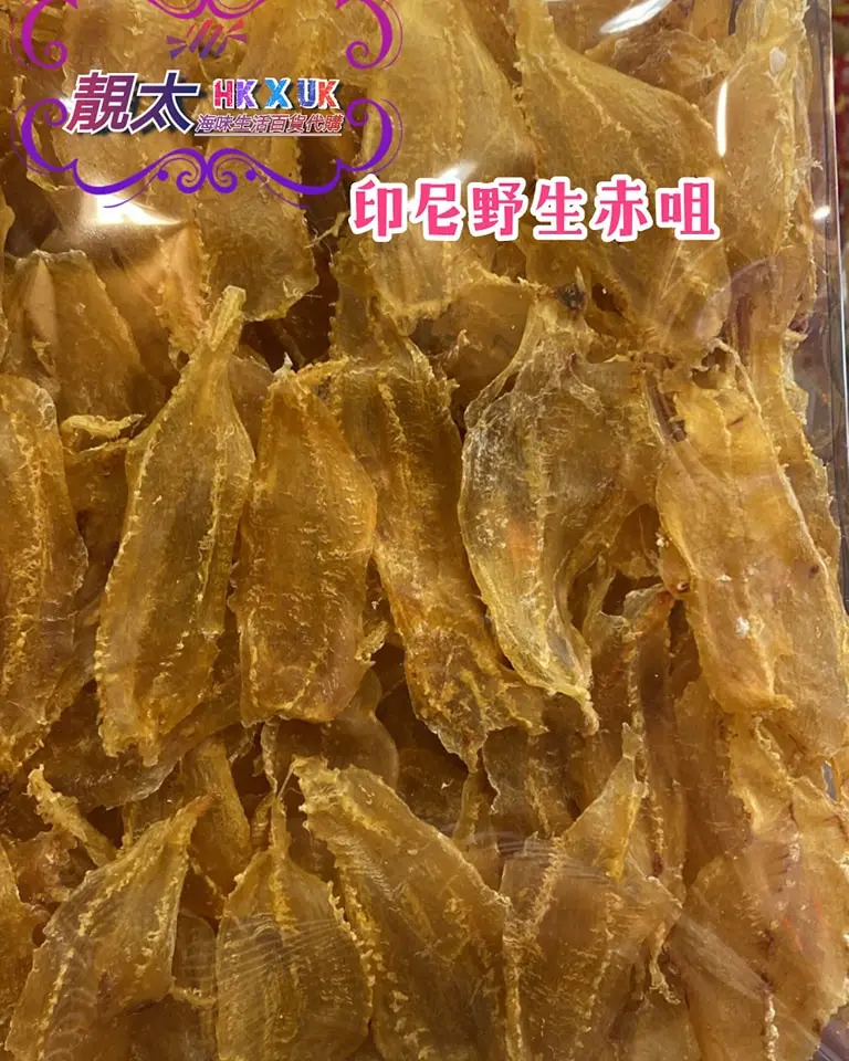 印尼赤嘴鰵魚
