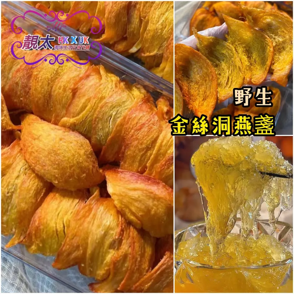 野生洞燕盞