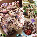 八爪魚仔