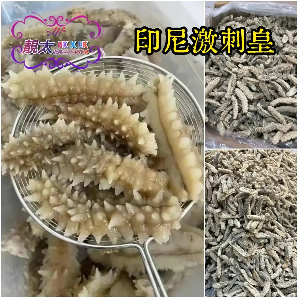 印尼激刺皇