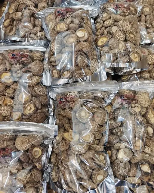 爆花冬菇