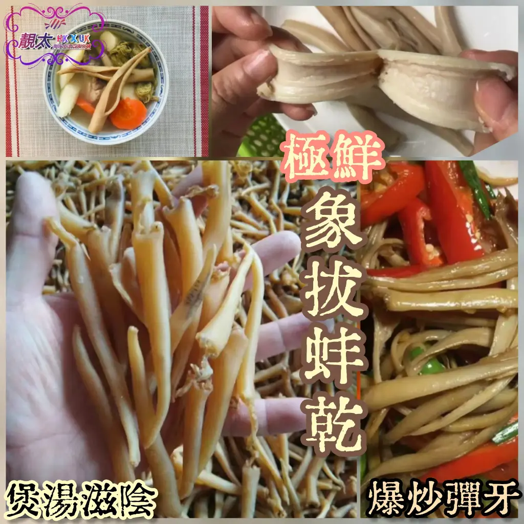 極鮮象拔蚌