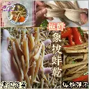 極鮮象拔蚌