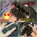 野生俄羅斯海參