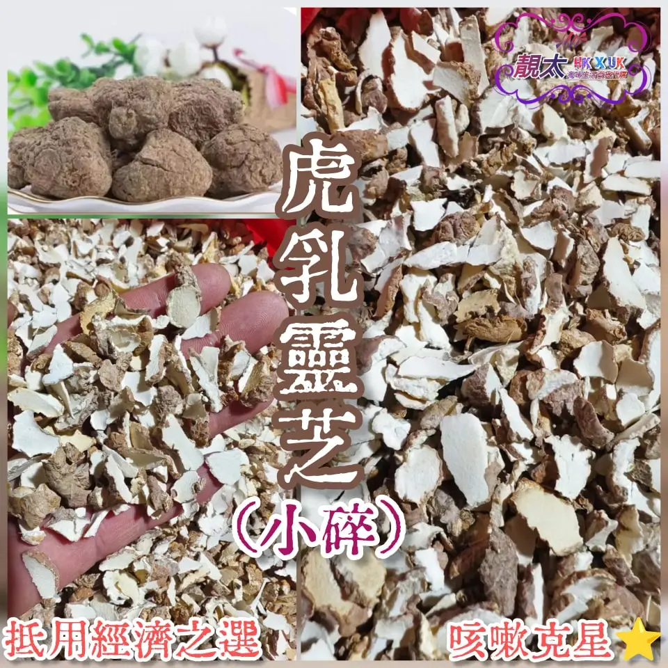 野生虎乳靈芝大碎