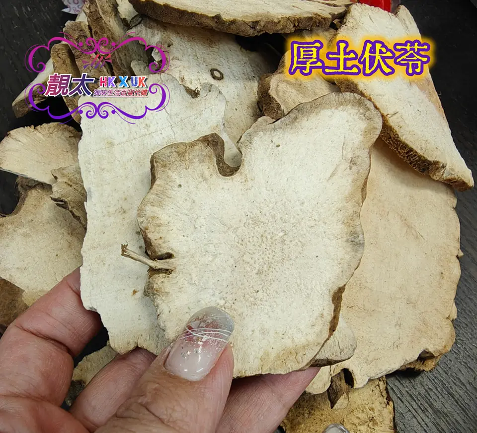 厚土茯苓