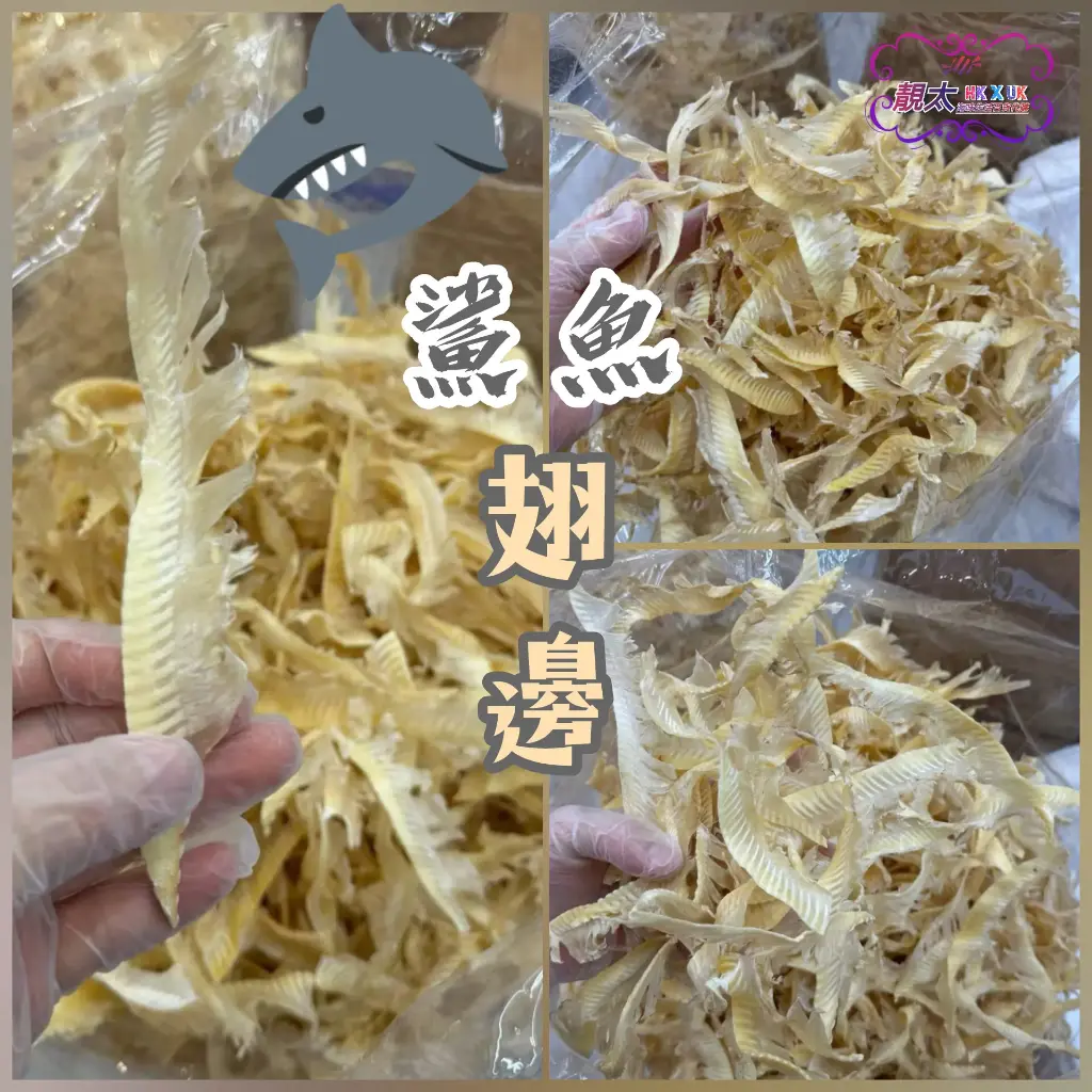 鯊魚翅邊