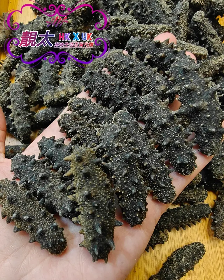 高質遼參