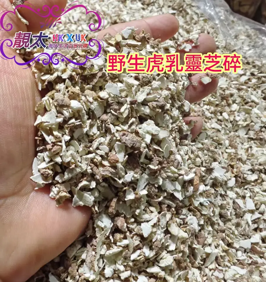 野生虎乳靈芝碎