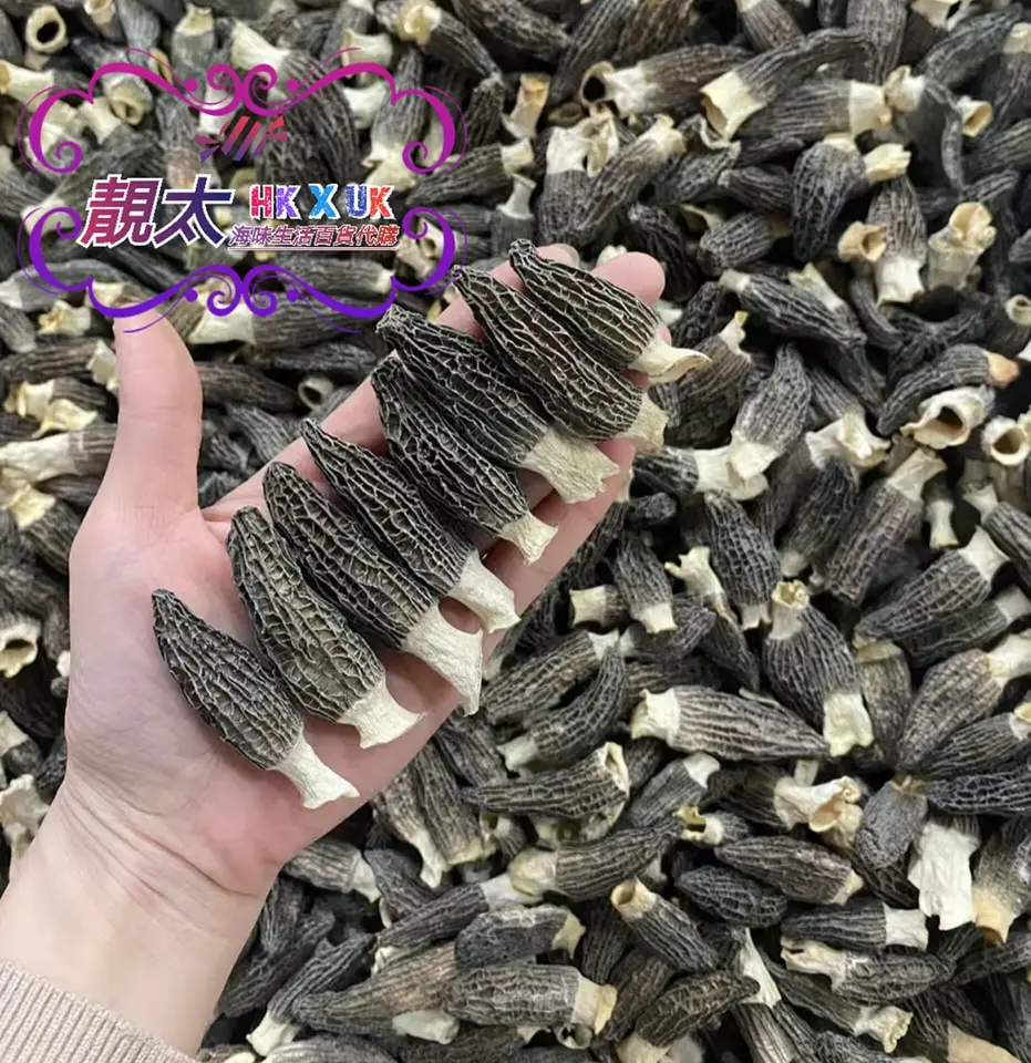 羊肚菌