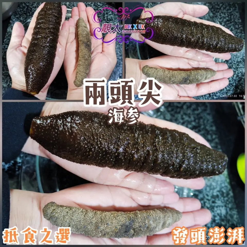 約13頭南美野生海參
