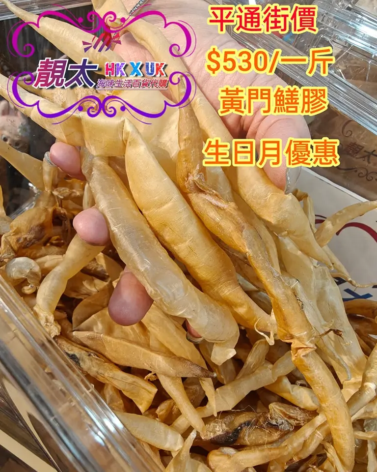 黃門鱔膠