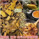 西藏野生桑黃