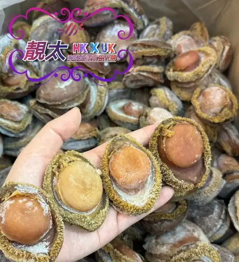 10頭南非特大鮑魚