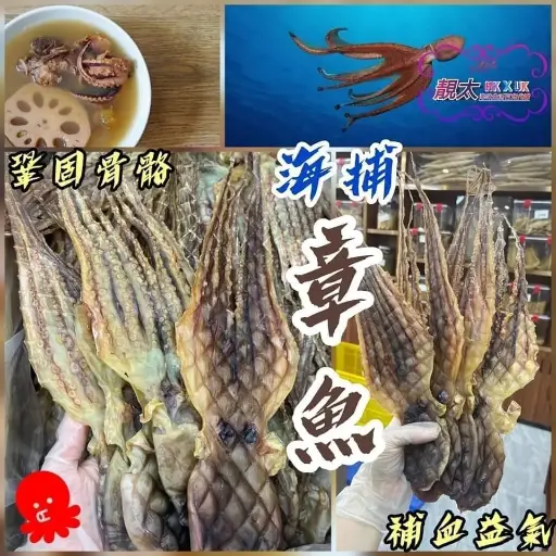 海捕章魚