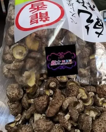 日本龍香冬菇皇