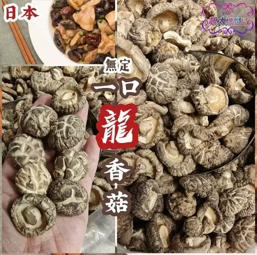日本一口無掟龍香冬菇