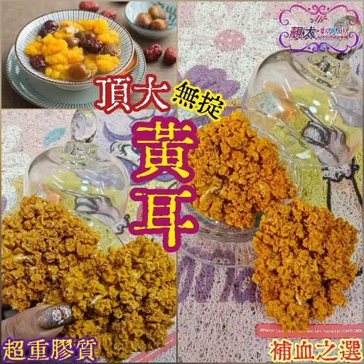 特大野生黃耳