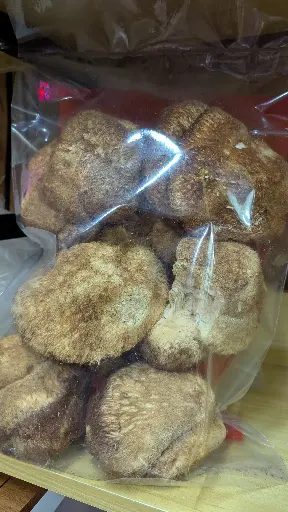 野生猴頭菇