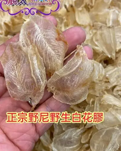 正宗印尼野生白花膠