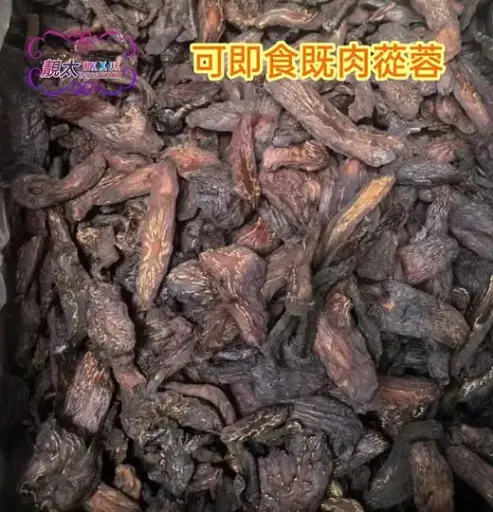 野生肉蓯蓉