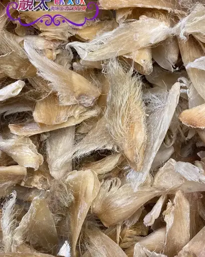 原色群勾全翅