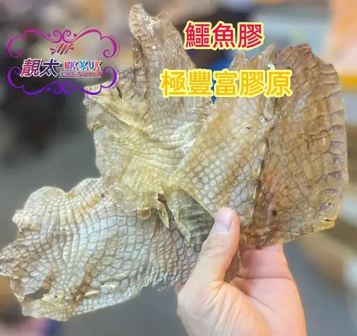 鱷魚膠