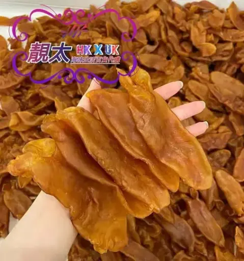 20頭花膠桶