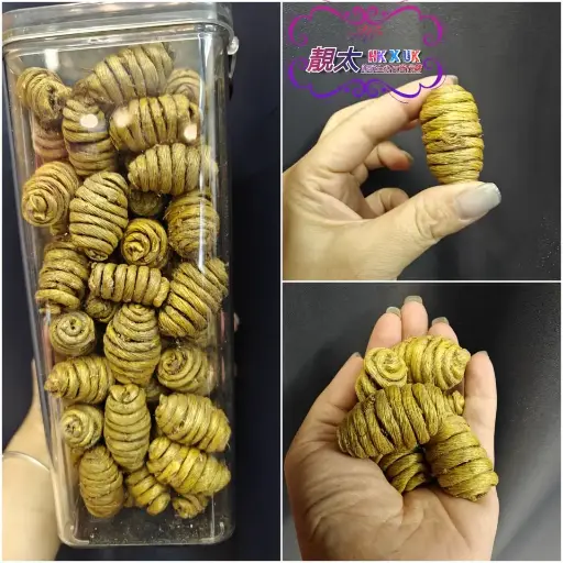 鐵皮石斛