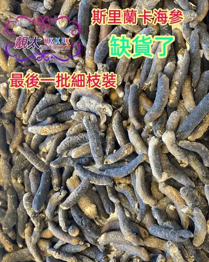 斯裡蘭卡海參