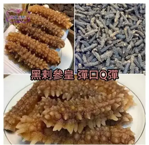 野生黑剌參參王