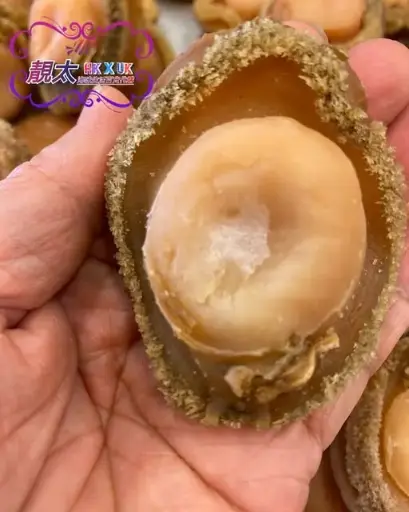 南非特大鮑魚