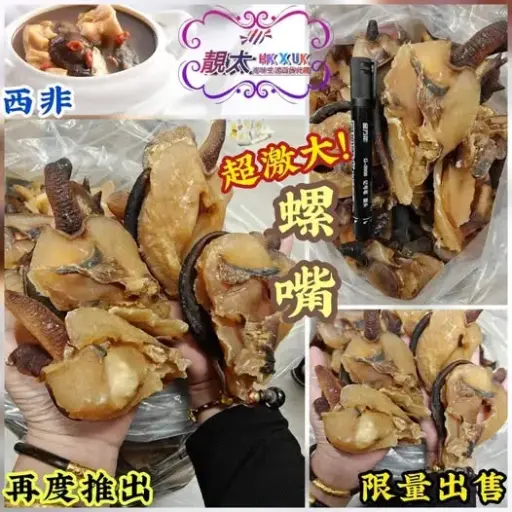 洲激大螺咀