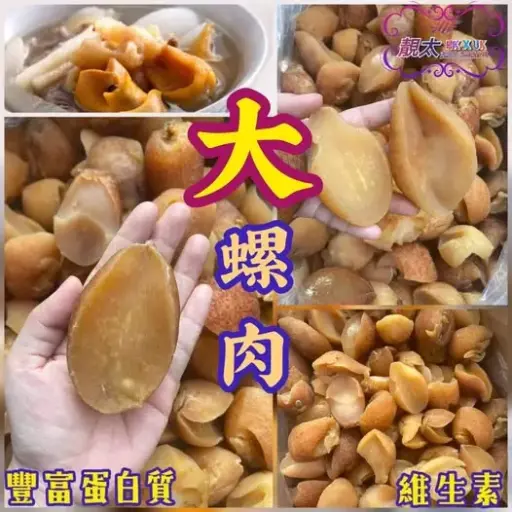 野生螺頭肉