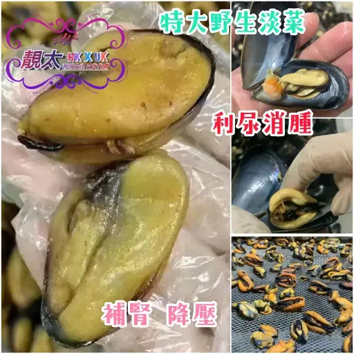 特大野生淡菜